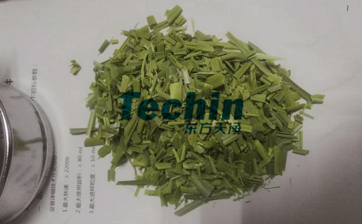 水稻叶子MR好色先生前