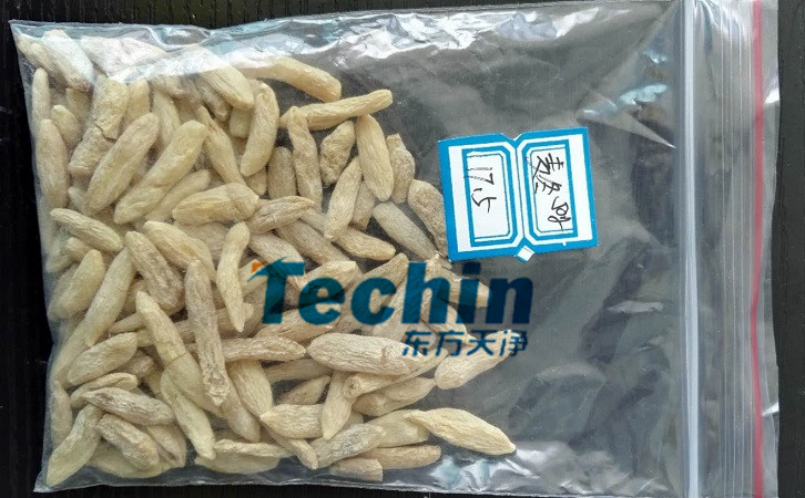 麦冬MR好色先生前