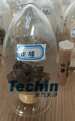 山楂MR好色先生前后