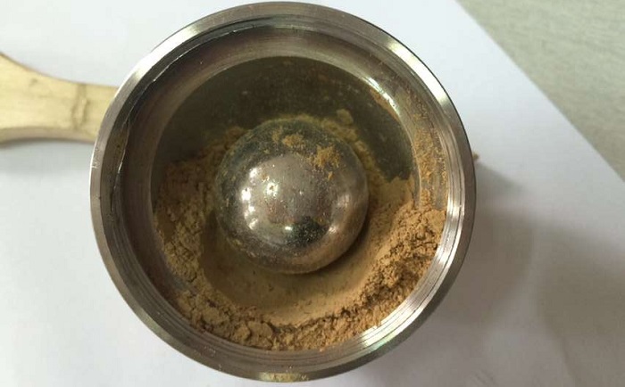 棉花茎组织MR好色先生