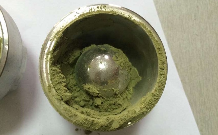 棉花叶组织MR好色先生